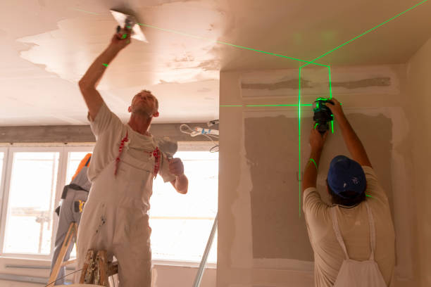 Best Ceiling Drywall Installation  in Urbandale, IA